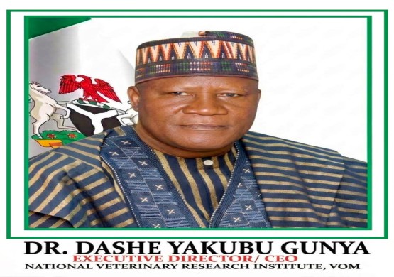 1793429208-dr-dashe-yakubu-gunya.jpeg